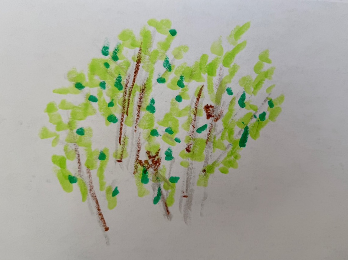 trees outside the window — LARC workshop, aug 2026